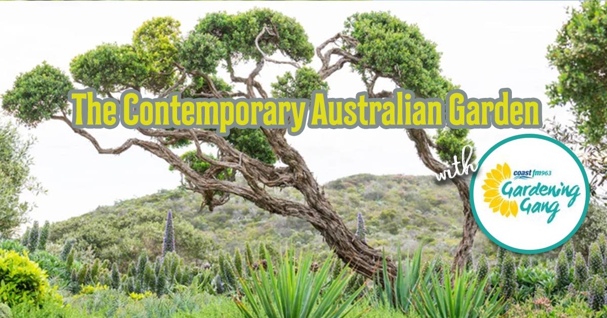 On Air Now until 10:00am