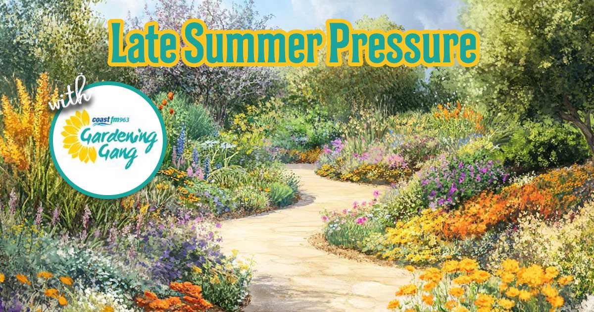 Next On Air Saturday, 7 March 2026, Morning 8:00am until 10:00am