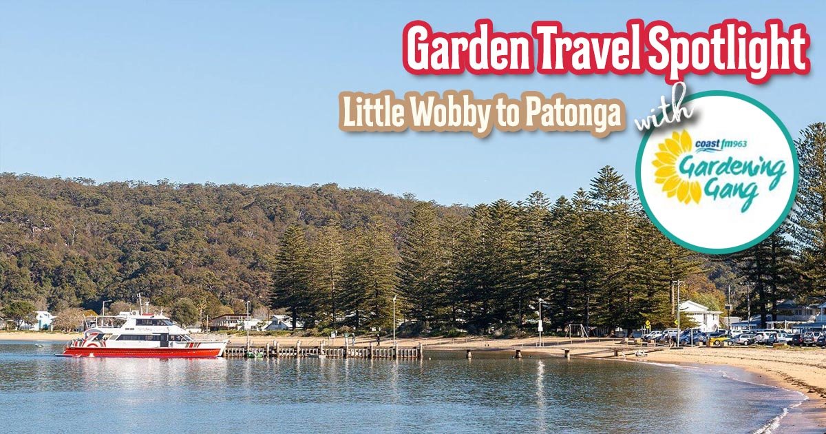 Next on This Morning from 8:00am