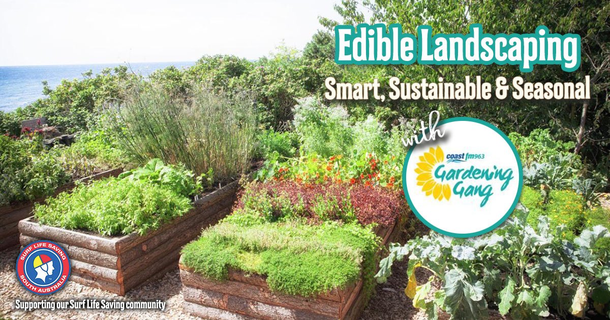 Next on Saturday (18th April) Morning from 8:00am